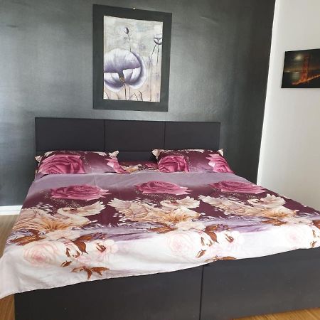 Apartmán Meldemannstrasse Vídeň Exteriér fotografie